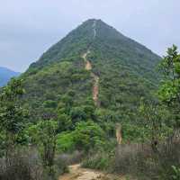天陰陰👣漫長樓梯之旅: 針山⛰️