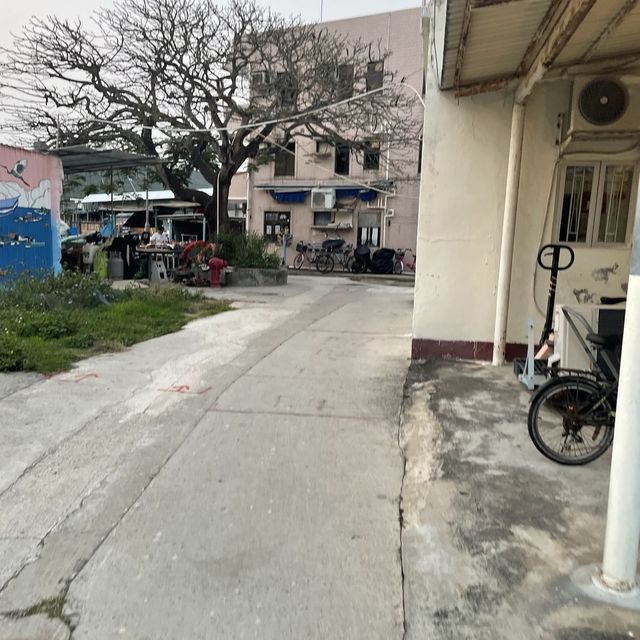 Chill 在索罟灣