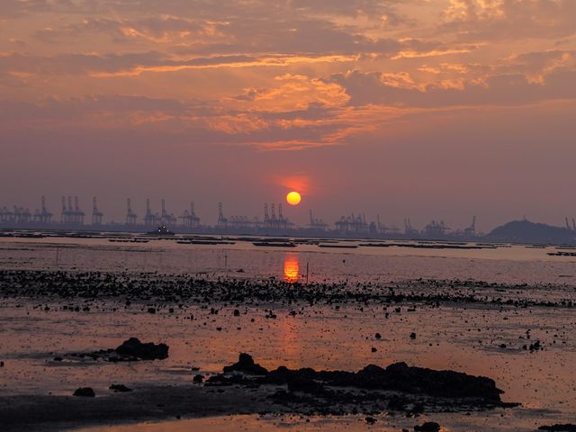 醉人日落美景🌄下白泥