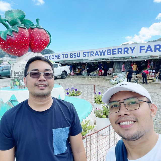 Strawberry Picking Time!