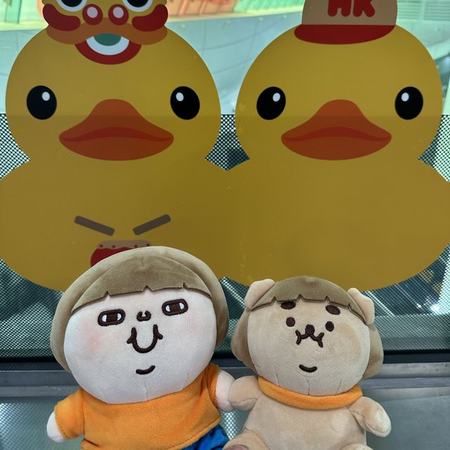 Fatty Puffy meet Duckys