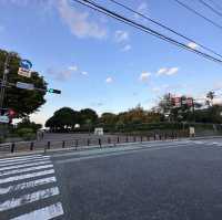 【横浜】雨上がりの夕方の山手散策