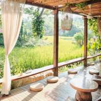 บ้านนาก๋างโต้ง Baan Na Kang Tong 🌾 จ. น่าน