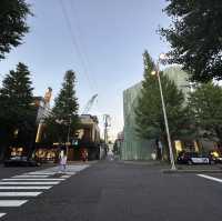 【東京】夏の白金台の銀杏並木