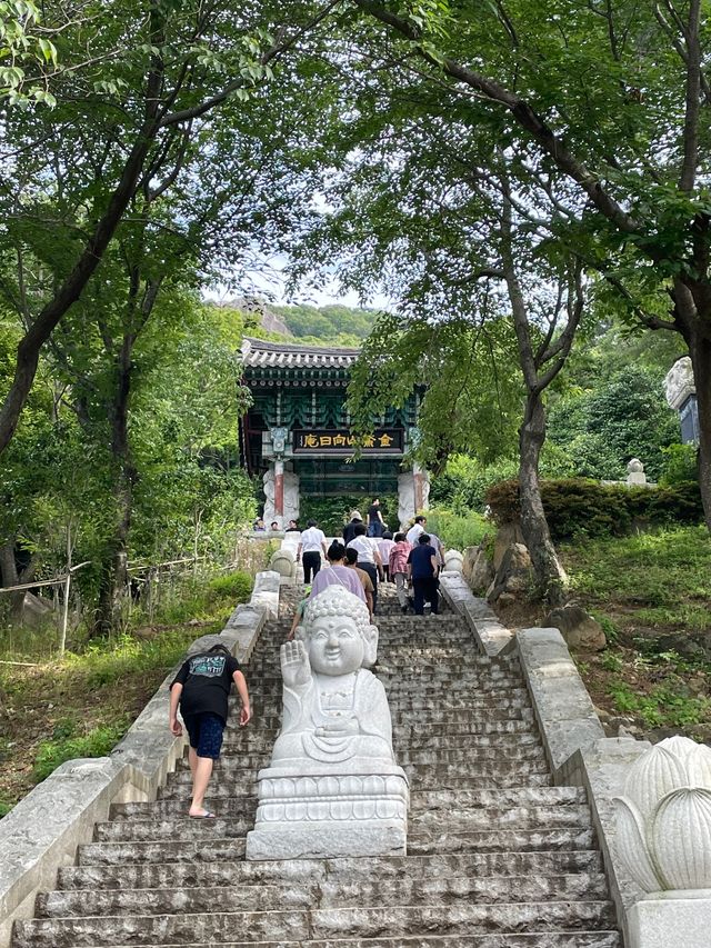산책과 힐링이 필요하다면 오션뷰 사찰 여수 향일암🌿