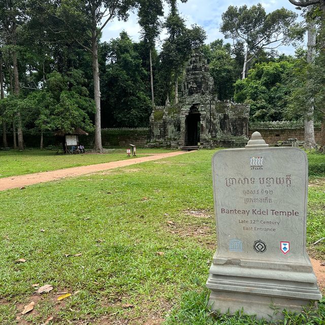 シェムリアップ（アンコール遺跡、ナイトマーケット、戦争博物館）