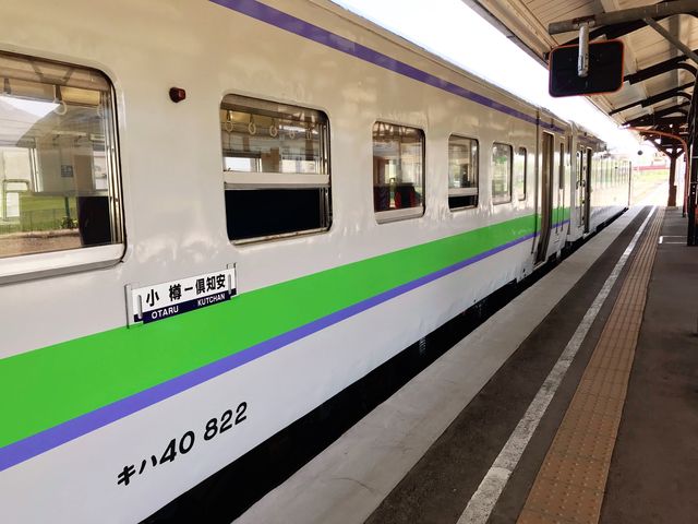 🌸少女心爆發的芝櫻之旅🌸