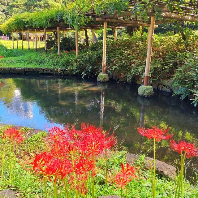 Koishikawa Korakuen Gardens