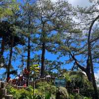 Mines View Park | บาเกียว ฟิลิปปินส์🇵🇭