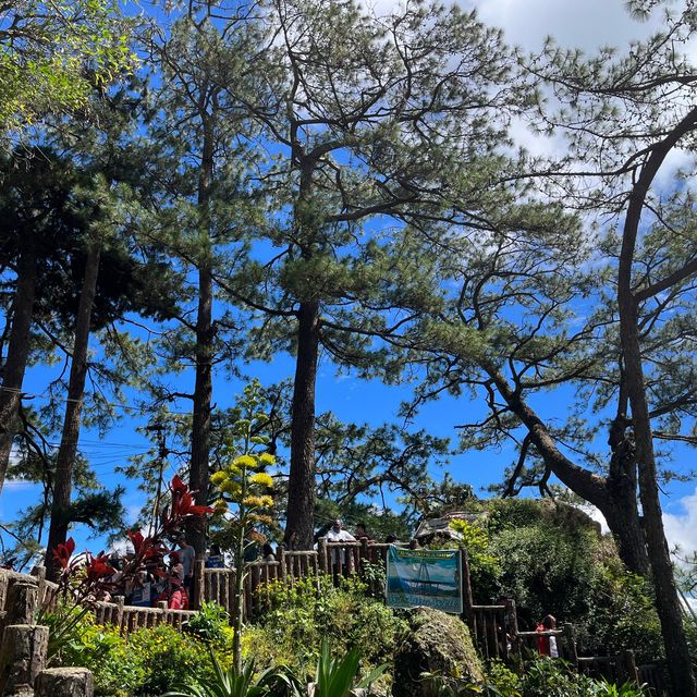 Mines View Park | บาเกียว ฟิลิปปินส์🇵🇭