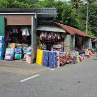 Nice and Easy Malaysia-Thailand Border