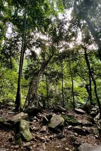 ทริปเดินป่าหน้าฝน น้ำตกโกรกอีดก สระบุรี