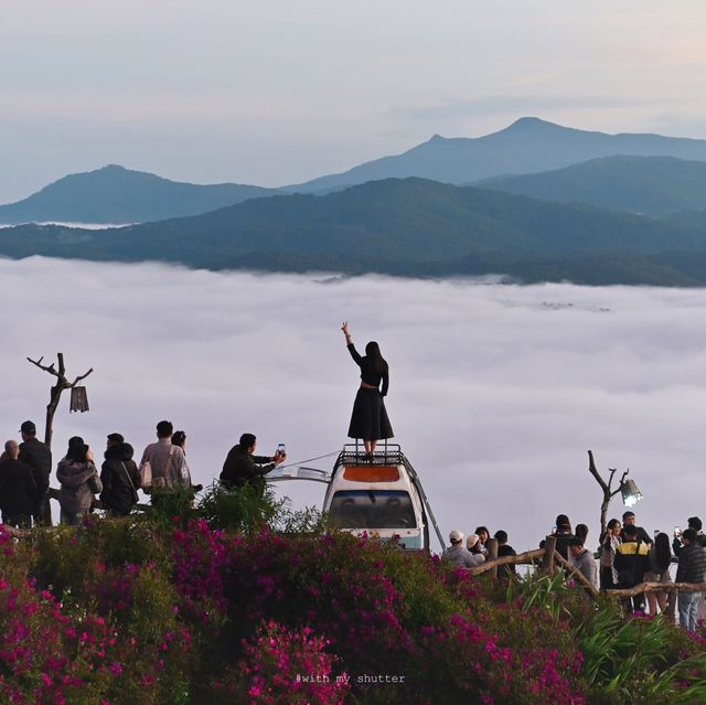 เวียดนาม :  ทะเลหมอกแห่งเมือง Dalat 🇻🇳