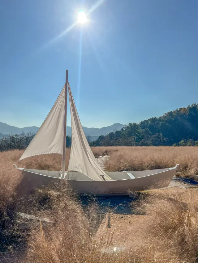 포천 대표 여행지 허브 아일랜드🍃