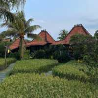 Immersed into the serenity of Ubud at Artenanka Resort 