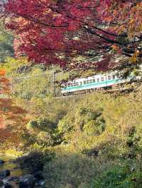 【京都府/一の鳥居・梶取社】貴船神社だけじゃない！