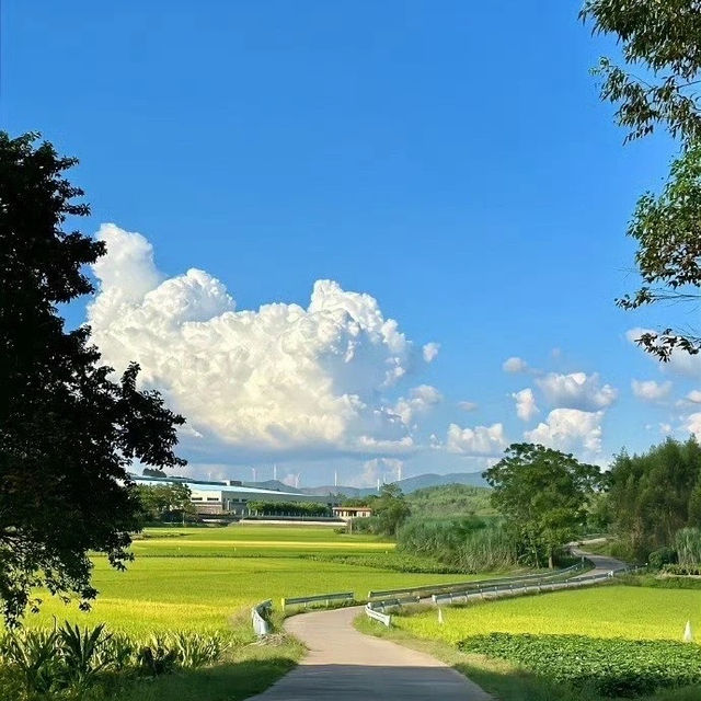 九浪花瀑布風景區 💦🌈水之奇蹟 🏞️🌊