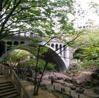 賞櫻名所 飛鳥山公園🌸