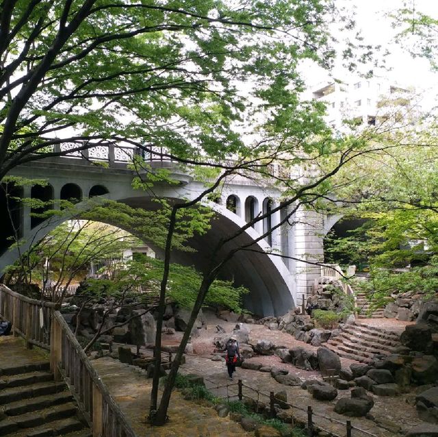 賞櫻名所 飛鳥山公園🌸