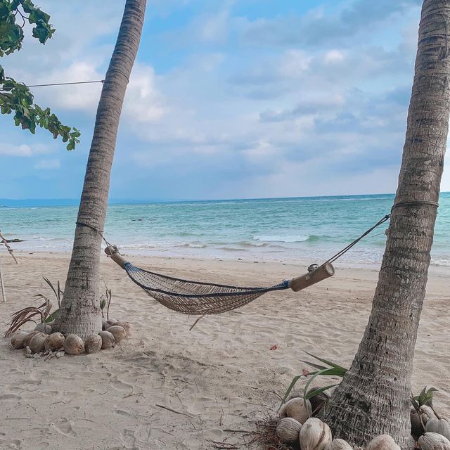 เ ก า ะ ห ม า ก  l  ต ร า ด 🏝🌤✨