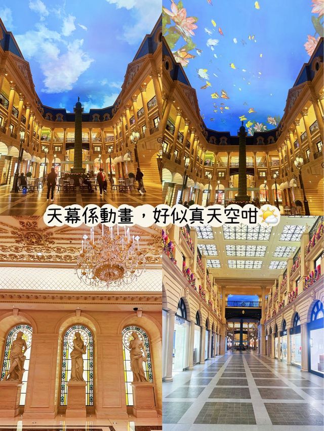 ⭐️澳門可以一次過滿足你三個願望😆