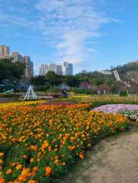 傳統景點加入新景象~龍環葡韻景區