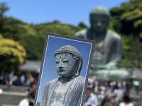 日本電鐵江之電｜長谷站高德院鎌倉大佛，鎌倉唯一的國寶佛像