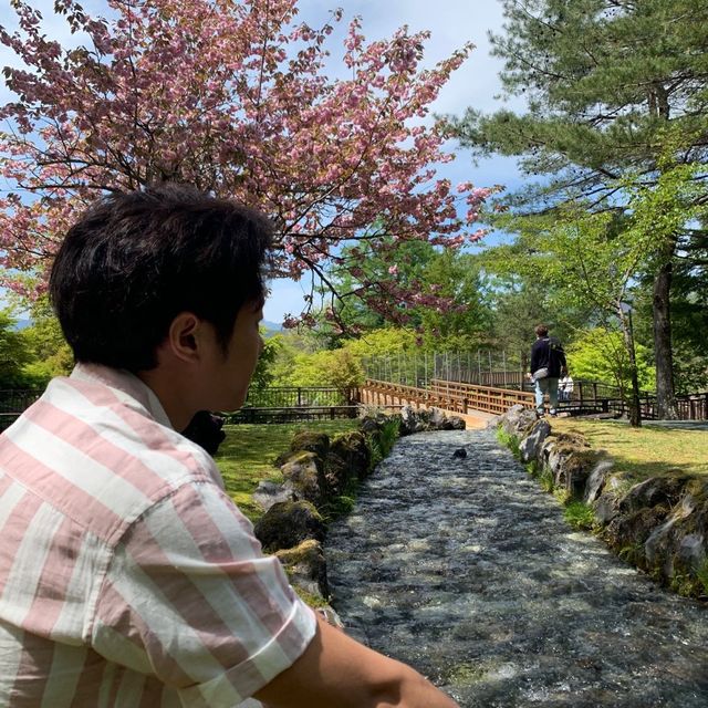 Best view of Mt. Fuji without the tourist