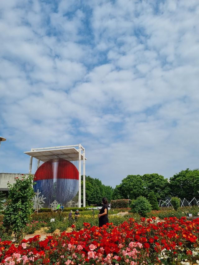 올림픽공원 장미광장 이번주가 절정🌹