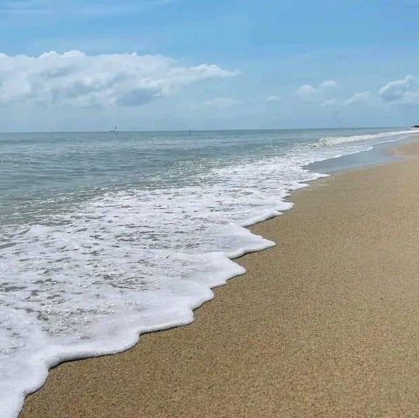 • TASALA cabana  🏖️🏝️