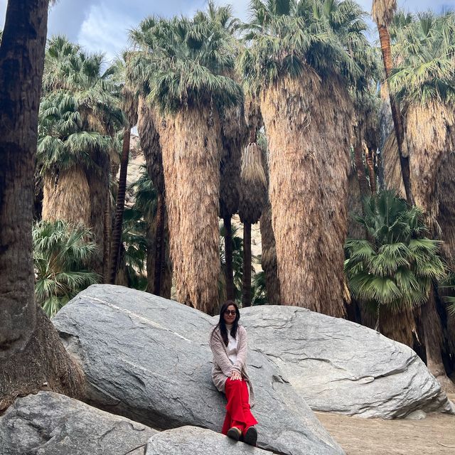 Indian Canyon, Palm Springs อเมริกา