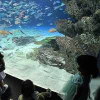都内にある水族館！