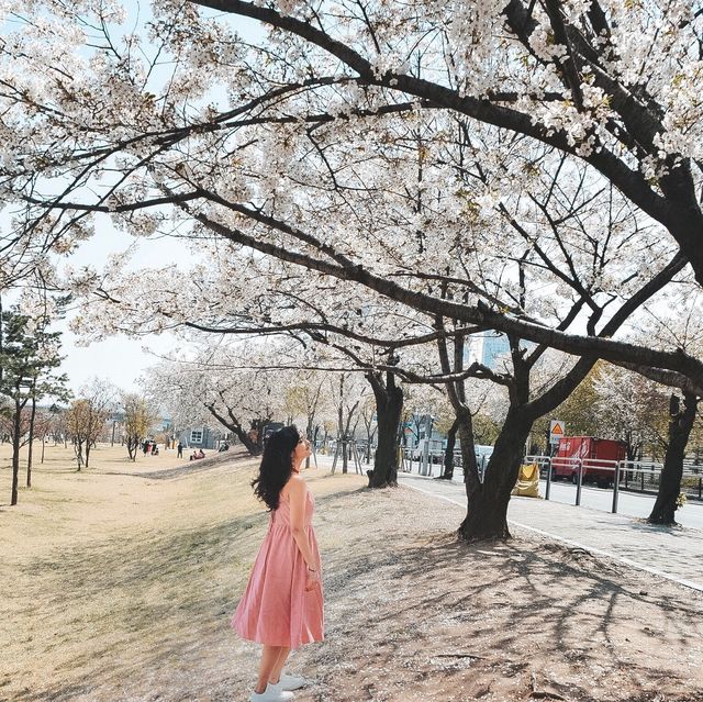 One of my Fav cities in the world ❤️🇰🇷✨