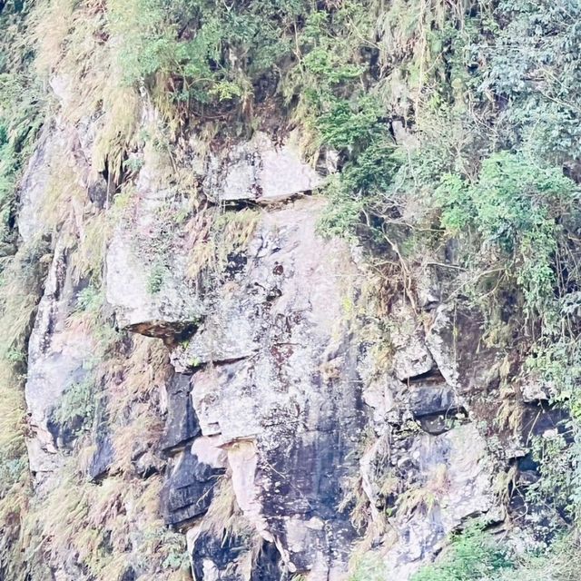 原住民體驗｜YAMAI雅麥部落（五峰獵人學校）
