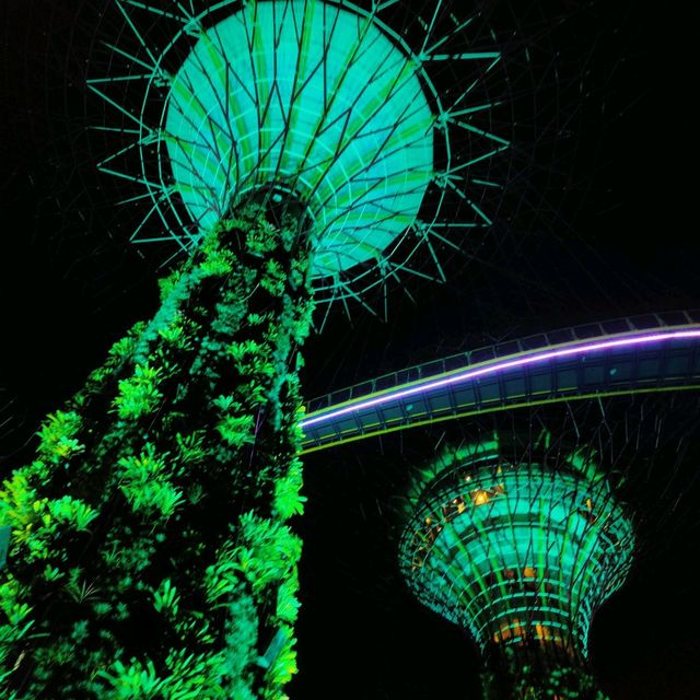 A must watch light show in Singapore 😍