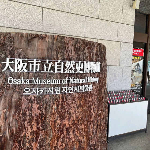 新属新種もりだくさん！期間限定 恐竜博2023 大阪市立自然史博物館