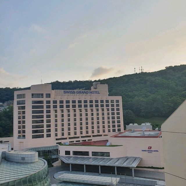 다인 숙박에 최적인 스위스 그랜드 호텔 🏨 