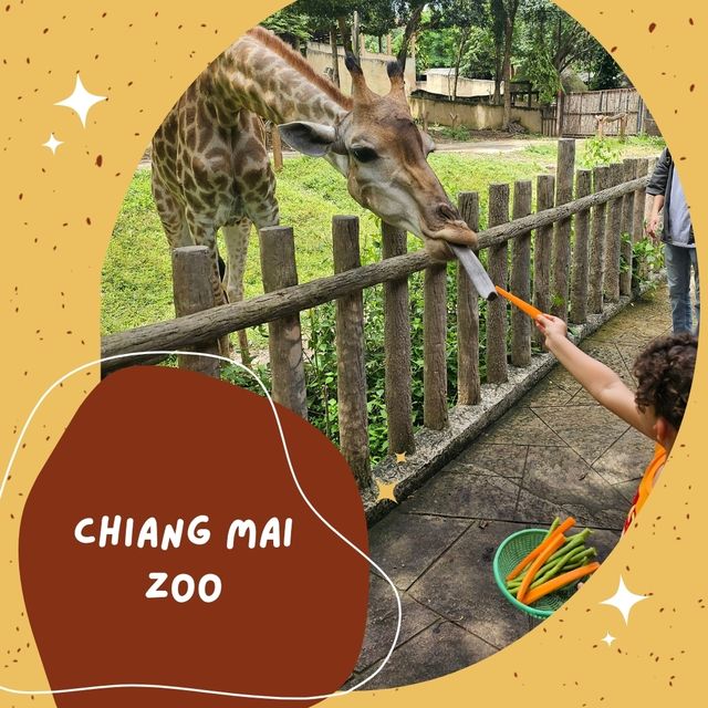 Chiang Mai Zoo