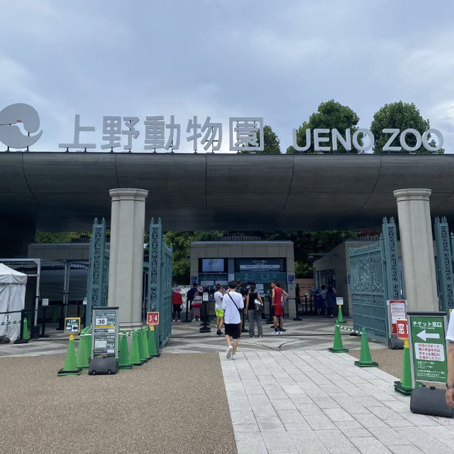 動物狂歡，上野動物園帶你探索野性世界！🐼🦁🌳