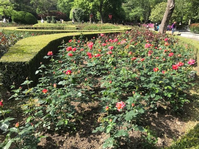 Fuxing Park