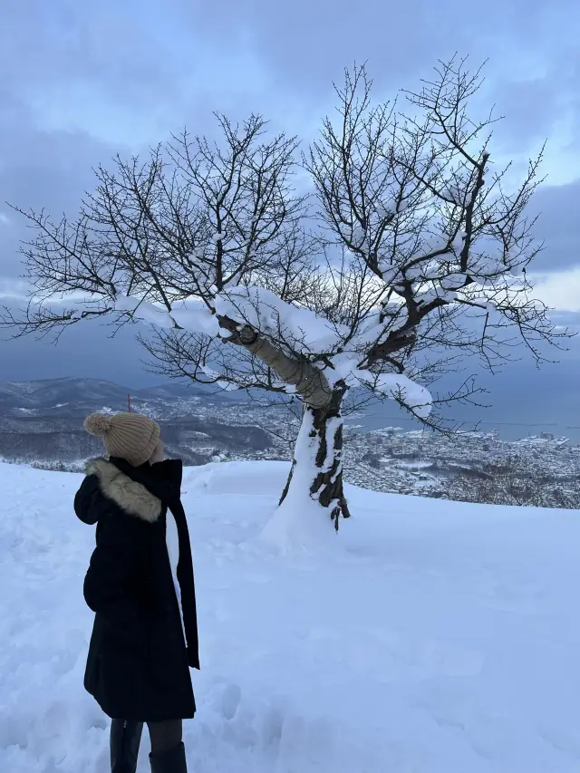 Best Powdery Snow location in Japan