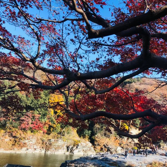 松尾川河川 🌊🛶悠閒划船⛵️🏞️