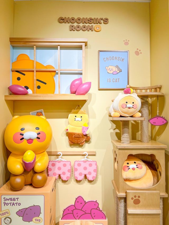 춘식이 러버들이 홍대가면 필수로 방문하는곳🫶🏻