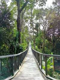 The Habitat Penang Hill