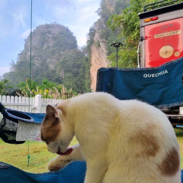 พักผ่อนในหุบเขา @หุบป่าตาด สวิทสแลนด์เมืองไทย