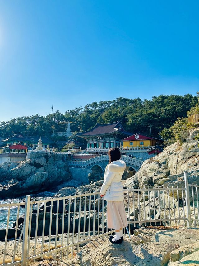 바다가 보이는 한국에서 가장 아름다운 사찰🪷