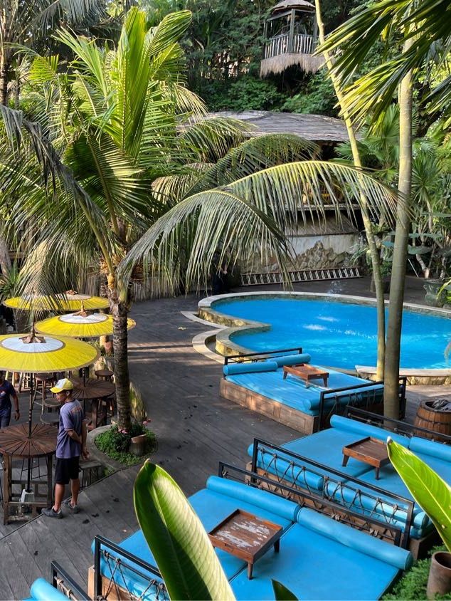 숲속의 인피니티 풀 전세내기 발리 Dtukad River Club