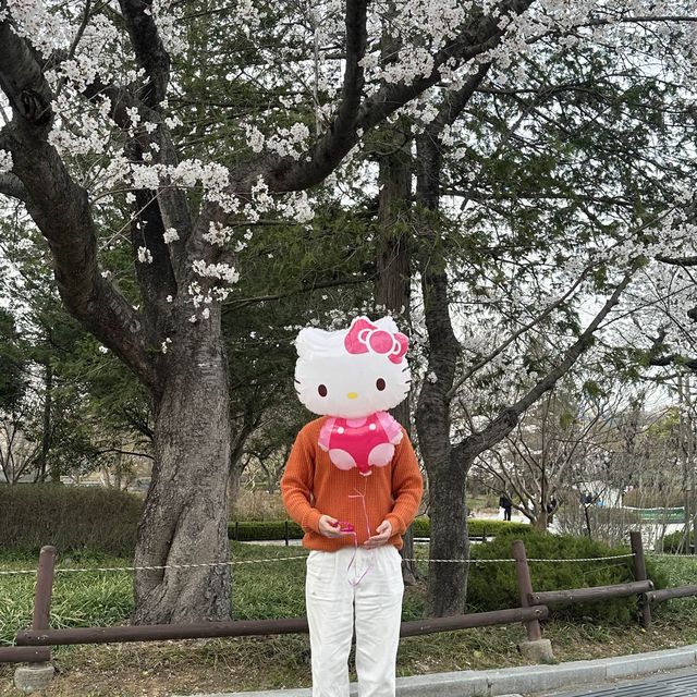 한옥마을만 가는 전주여행은 그만! 색다른 전주여행 전주동물원!!