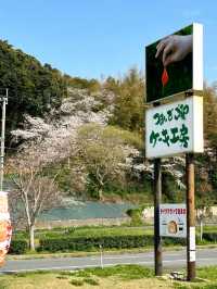 🇯🇵日本福岡県糸島市甜品店推介～ 每日新鮮製造！