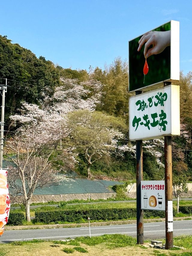 🇯🇵日本福岡県糸島市甜品店推介～ 每日新鮮製造！